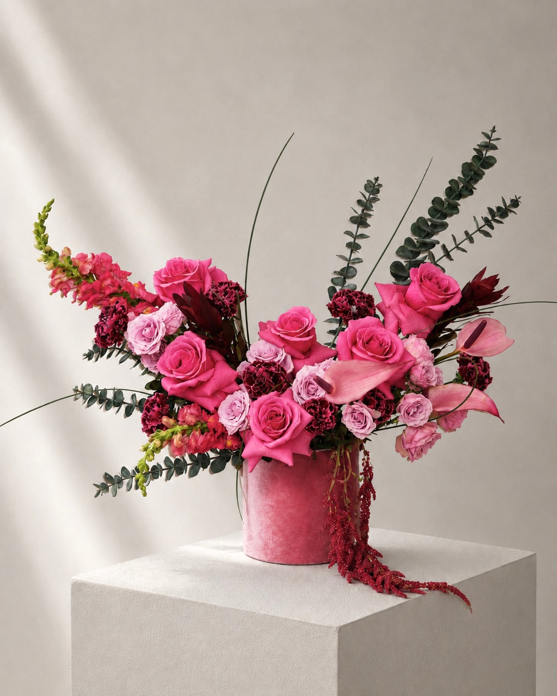 Fuchsia Lover