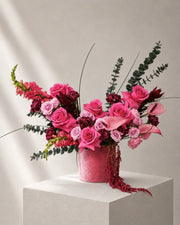 Fuchsia Lover