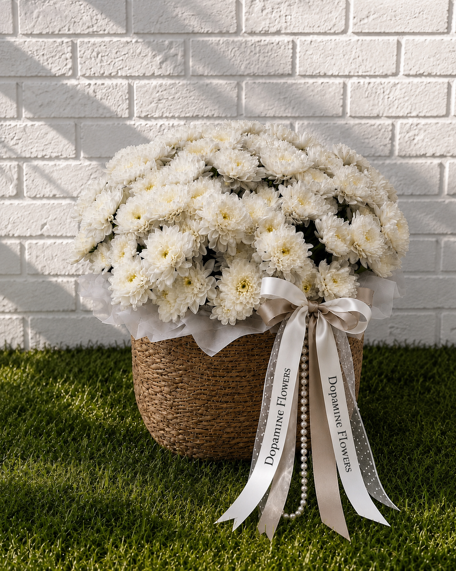 Basket of Light