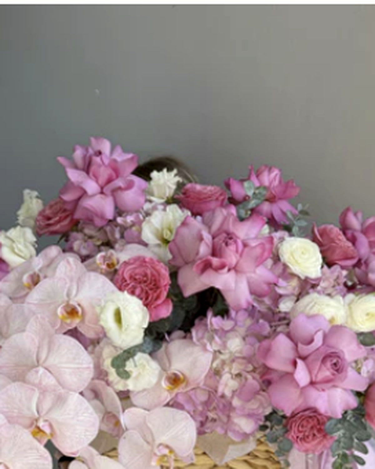 Bloom Baby Bloom