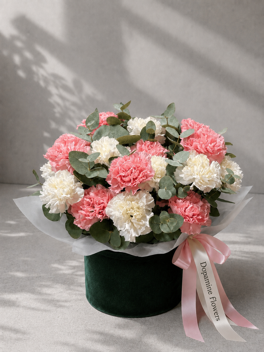 Coral Macaron - 10% OFF