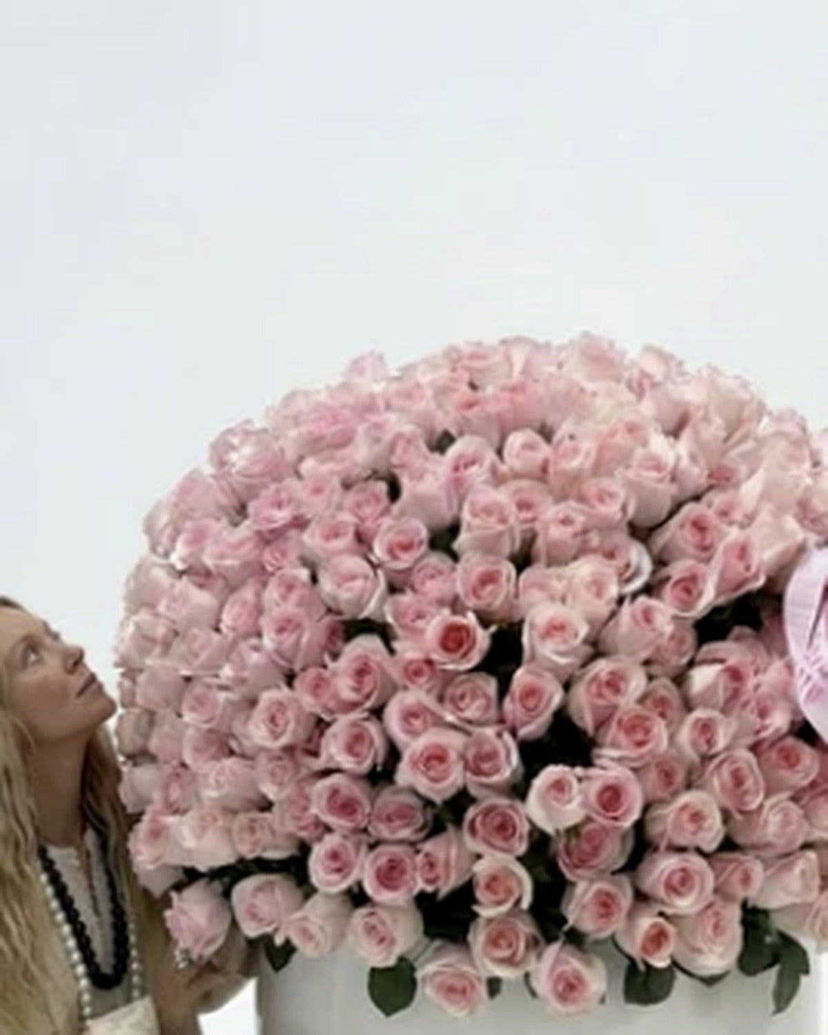 Five Hundred Pink Roses