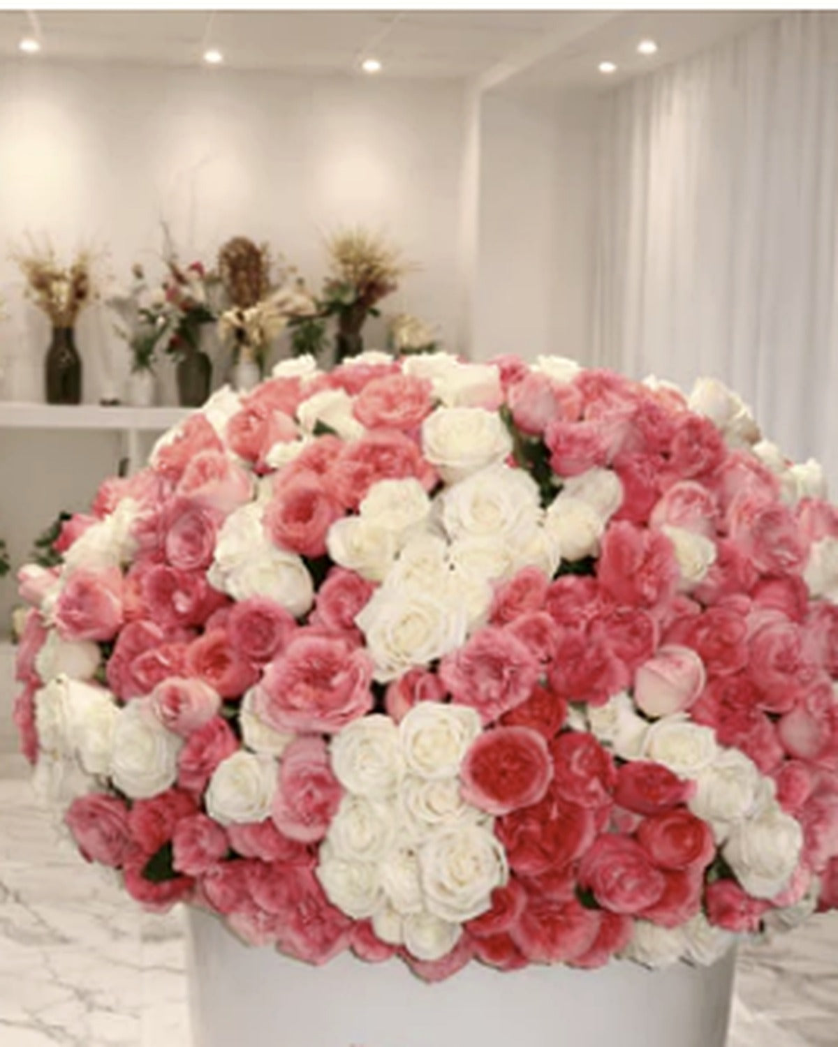 Five Hundred Pink & White Roses