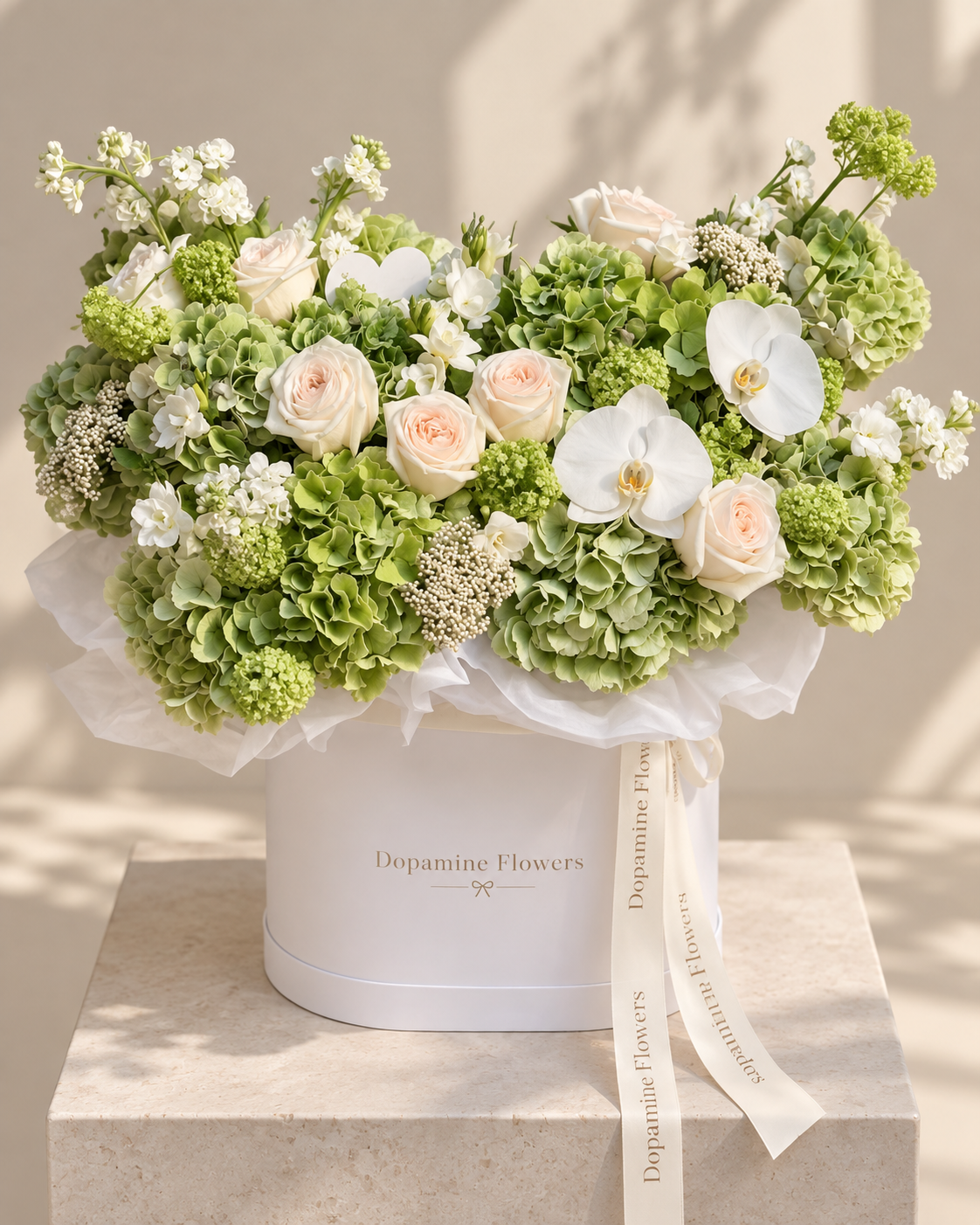 Green Hydrangea Bloom - photo 1