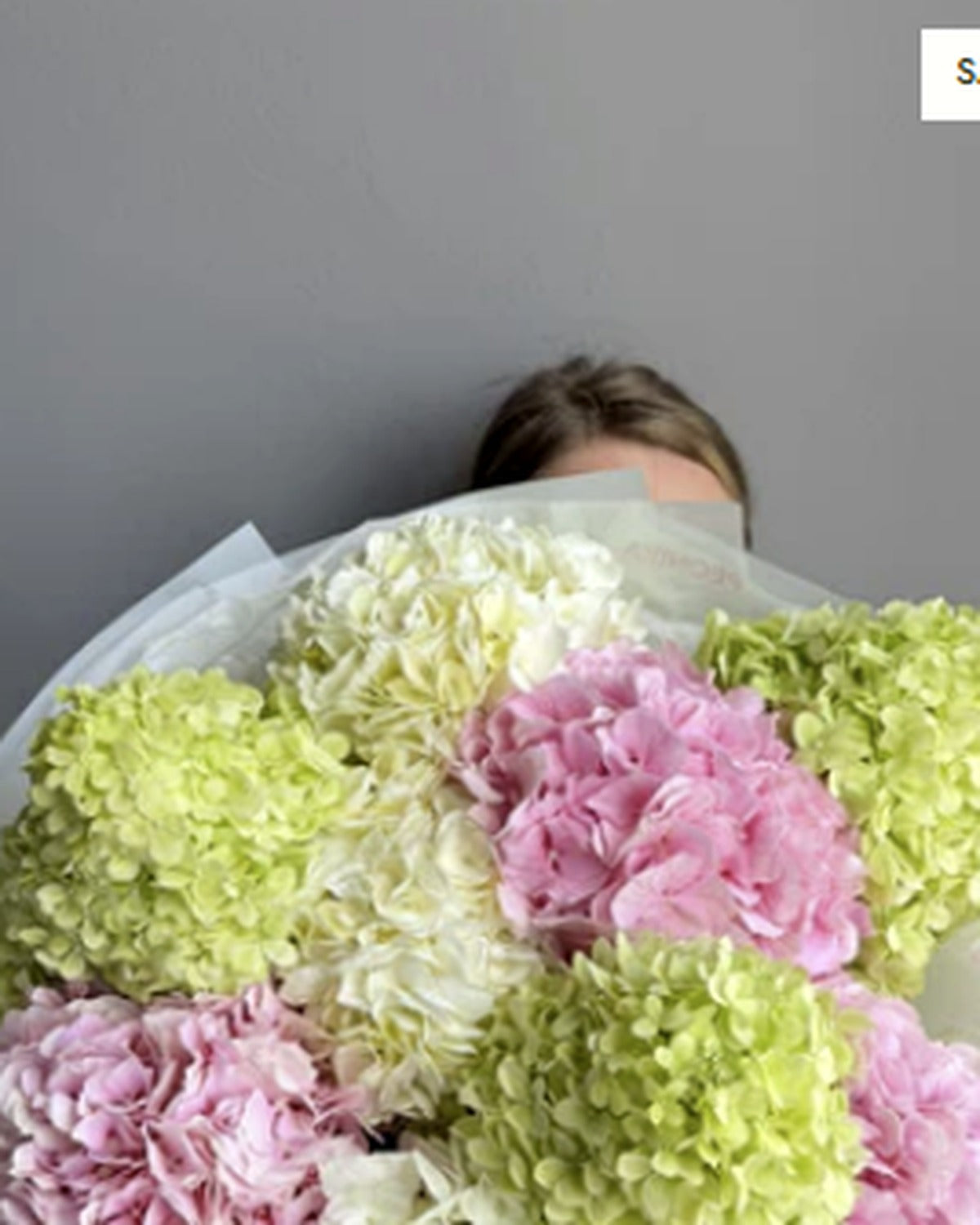 Hydrangea Lover - 9% OFF