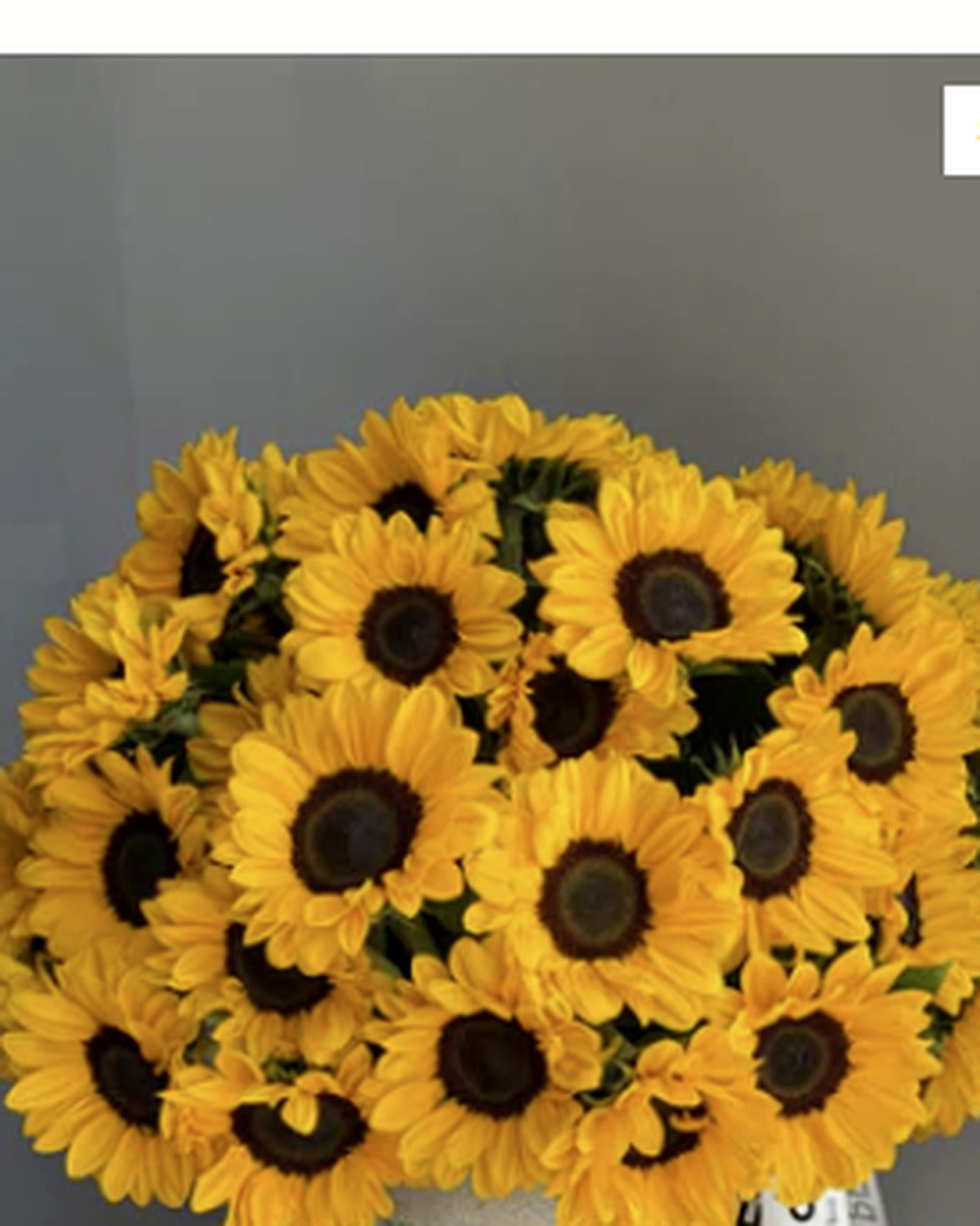 Mood Booster - 6% OFF