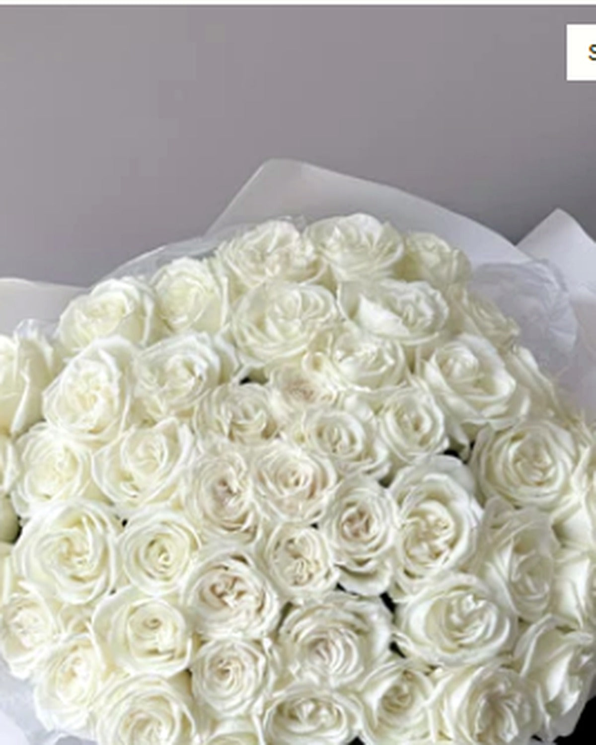 Playa Blanca Rose Bouquet - 6% OFF