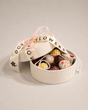 Premium Chocolate Box