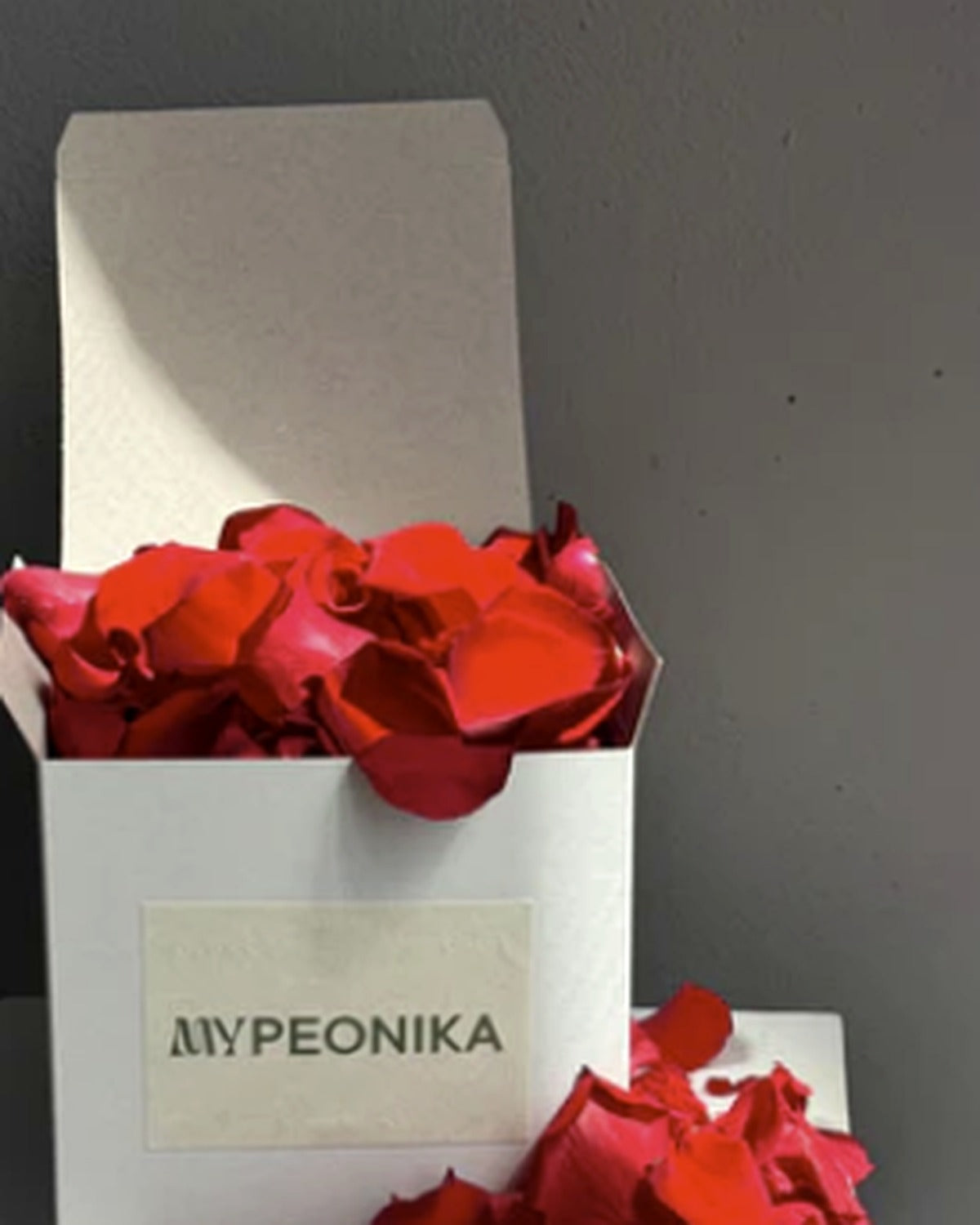 Rose Petals