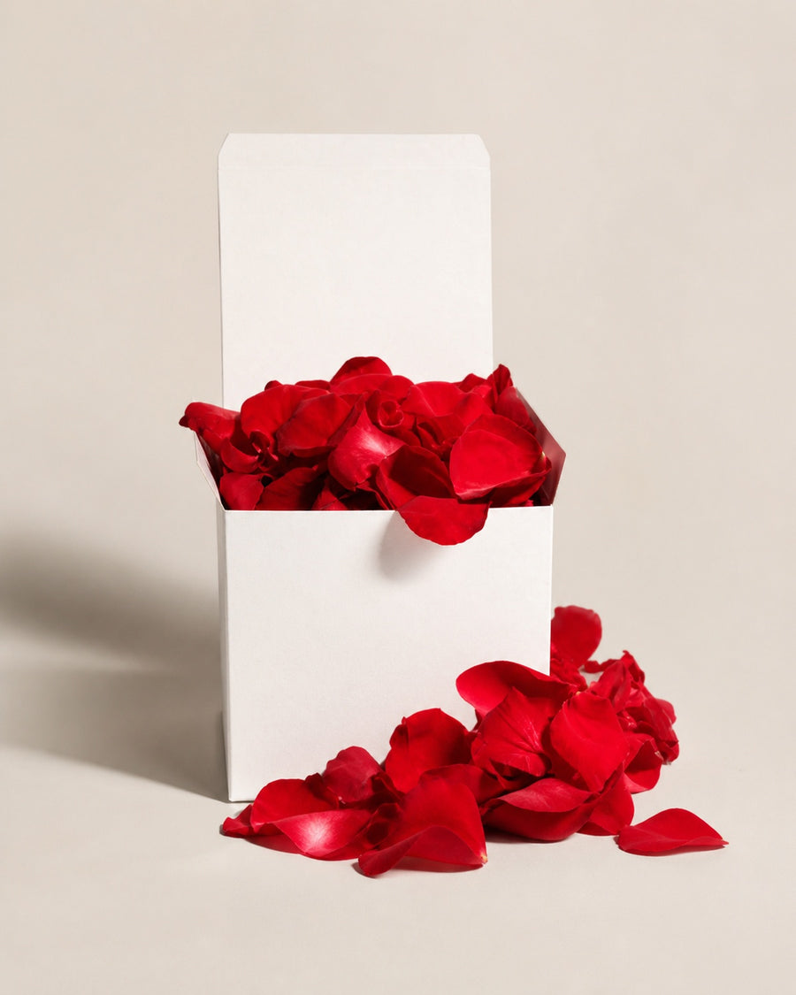 Rose Petals Red & White